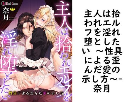 主人は拾われエルフを淫れ堕としたい 〜性具による歪んだ愛の示し方〜（奈月）
