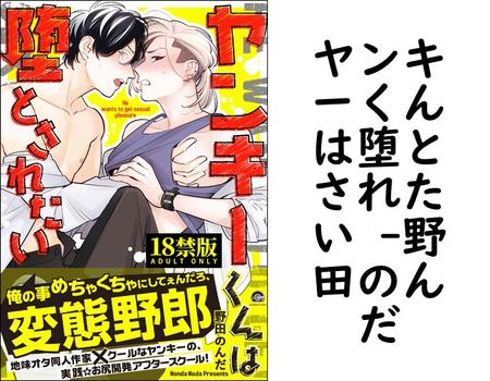 ヤンキーくんは堕とされたい （野田のんだ）