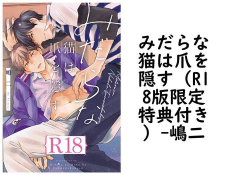 みだらな猫は爪を隠す（R18版限定特典付き）【嶋二】（drap）