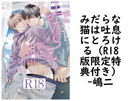 みだらな猫は吐息にとろける（R18版限定特典付き）【嶋二】（drap）