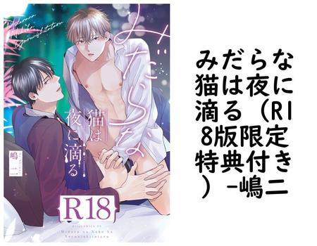 みだらな猫は夜に滴る（R18版限定特典付き）【嶋二】（drap）
