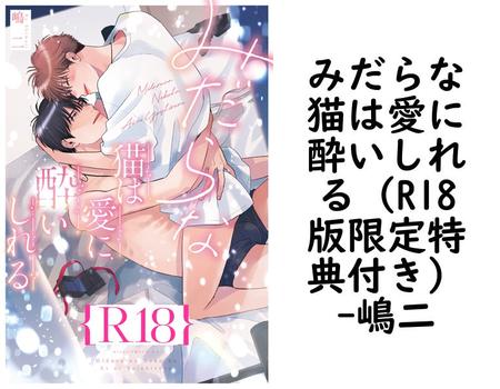 みだらな猫は愛に酔いしれる（R18版限定特典付き）【嶋二】（drap）