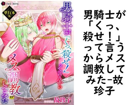 男騎士が「くっ、殺せ！」って言うからメス調教してみた【故珍子】（ブラックチェリー）