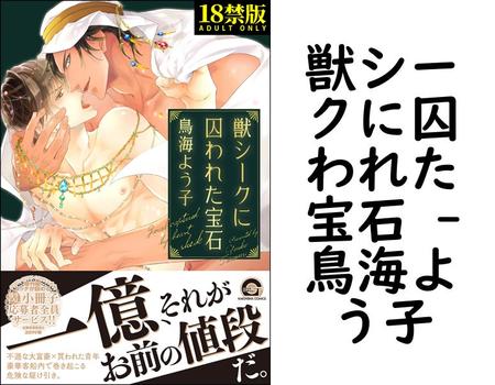 獣シークに囚われた宝石 【鳥海よう子】（GUSH COMICS）