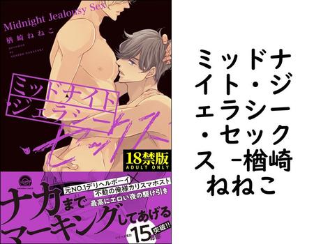 ミッドナイト・ジェラシー・セックス 【楢崎ねねこ】（GUSH COMICS）