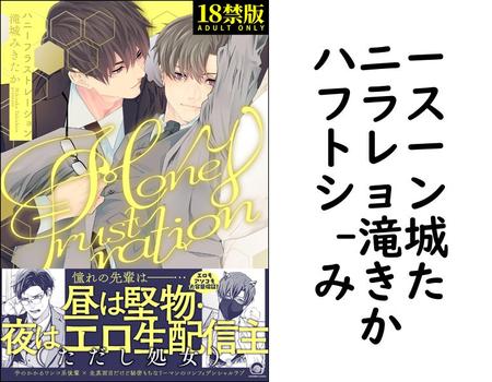 ハニーフラストレーション 【滝城みきたか】（GUSH COMICS）
