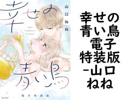 幸せの青い鳥 電子特装版【山口ねね】（YLC）