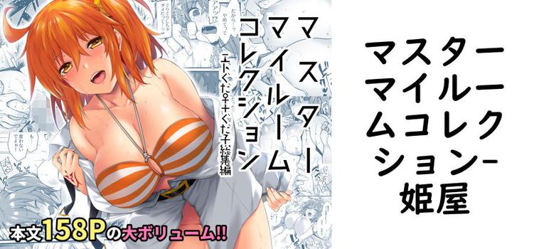 マスターマイルームコレクション【姫屋】（ゲーム系同人）