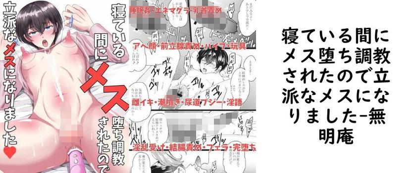 寝ている間にメス堕ち調教されたので立派なメスになりました【無明庵】（オリジナル同人）