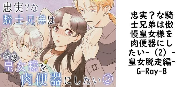 忠実？な騎士兄弟は傲慢皇女様を肉便器にしたい-（2）-皇女脱走編【G-Ray-B】（オリジナル同人）